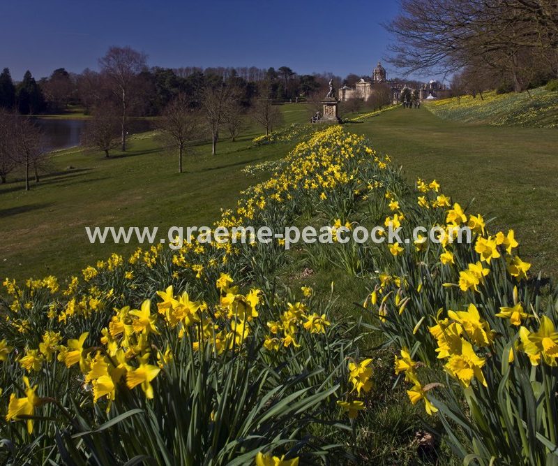 Castle Howard Estate, near York, North Yorkshire