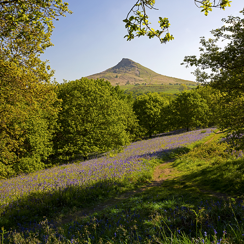 Countryside