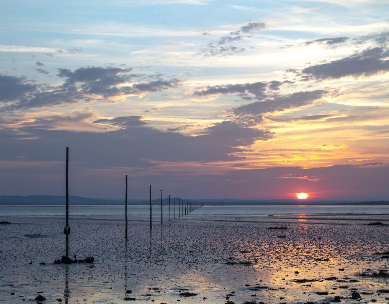Sunset over Pilgrim's Way, Holy Island of Lindisfarne, Northumberland, North East England, England, United Kingdom