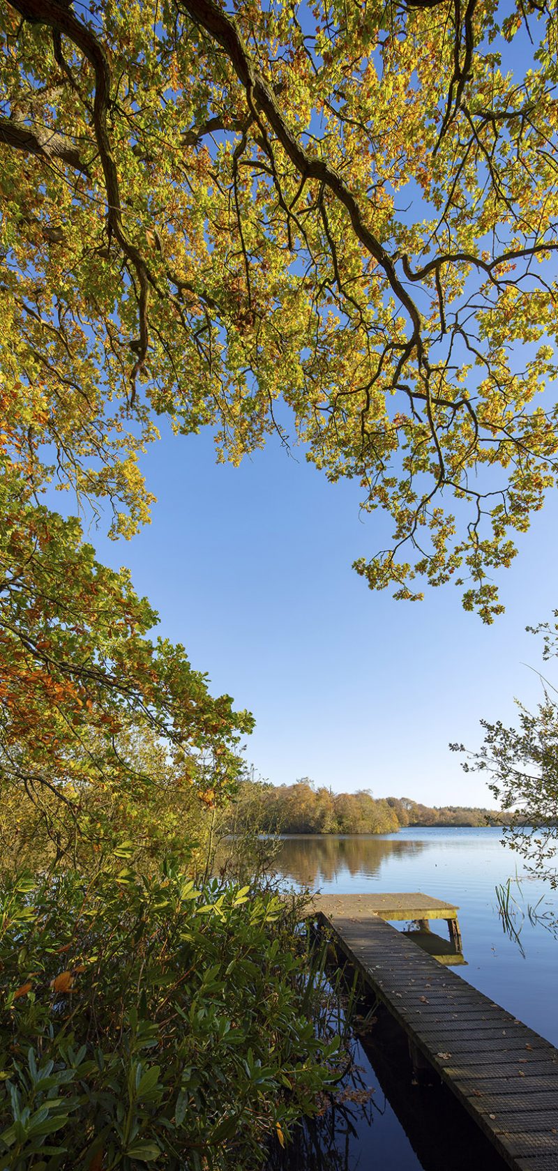 Bolam Lake Country Park near Belsay, Northumberland, England, UK