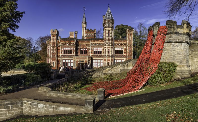 Remembrance Day poppy display at Saltwell Park, Gateshead, Tyne & Wear, UK