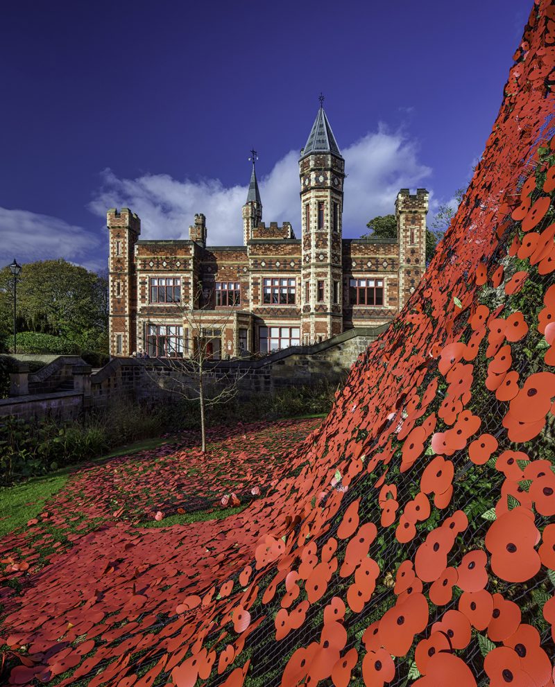 Remembrance Day poppy display at Saltwell Park, Gateshead, Tyne & Wear, UK