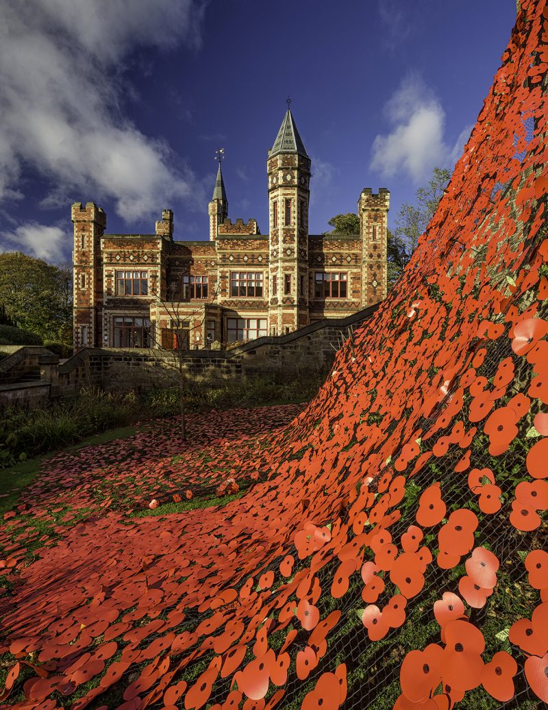 Remembrance Day poppy display at Saltwell Park, Gateshead, Tyne & Wear, UK